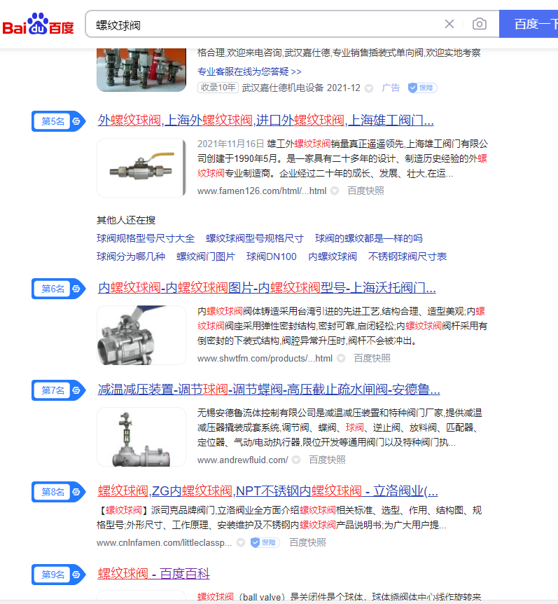 專業閥門做網站制作設計：螺紋球閥網站推廣案例
