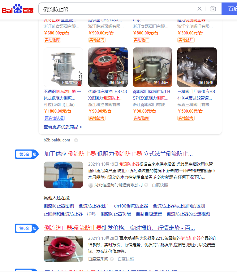 專業閥門行業網站推廣：“倒流防止器”網站優化案例